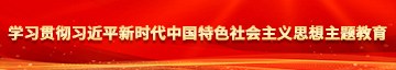 草美女大黑逼学习贯彻习近平新时代中国特色社会主义思想主题教育